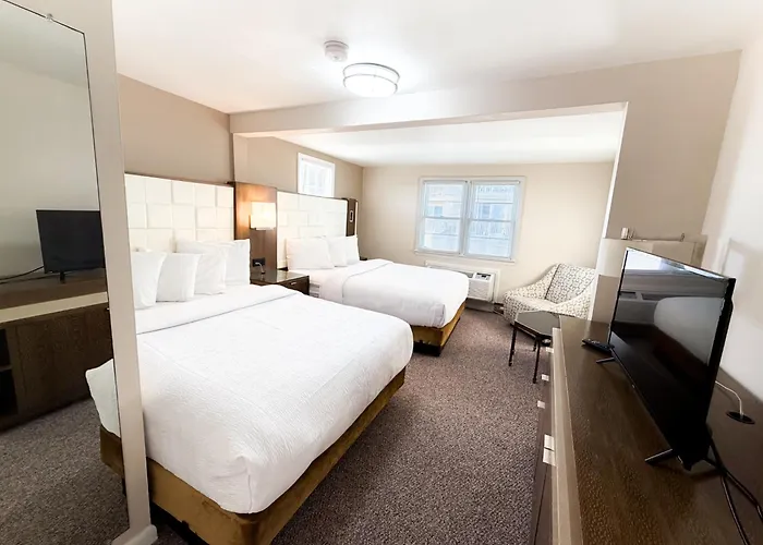 Hotel Majestic & 3*